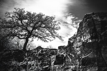 Falls Park quartzite stone walls and trees in Sioux Falls, South Dakota, USA