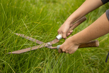 details of gardening shears for cutting grass, garden maintenance, nature care with work tool,...