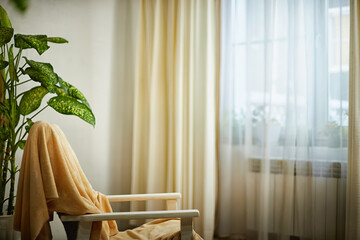 A modern cozy beautiful room with chair, green plants and curtains. Interior and background....