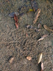 Sands of Time: Detailing the Texture of Sandy Ground