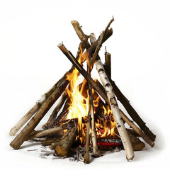 Primal Warmth: Campfire with Roaring Flames and Burning Wood