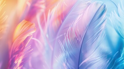 gentle feathers in dreamy colors