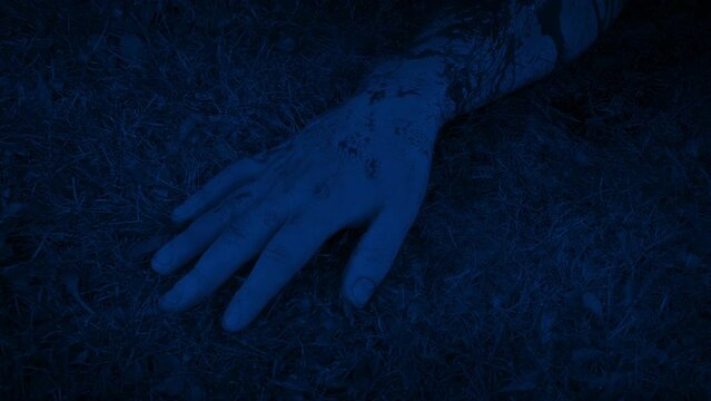 Police Photograph Bloody Arm On The Grass At Night