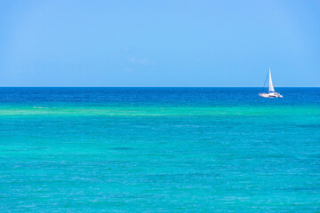 Obraz premium 沖縄の海