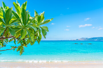 沖縄の海