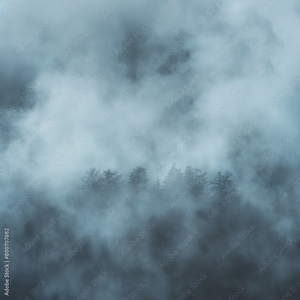 Poster the sky is filled with clouds and the trees are covered in mist