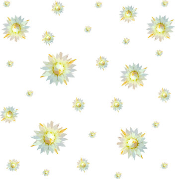 cute small flower pattern of Mimusops Elengi flowers or Bokul flowers on a white background. Vector illustration.