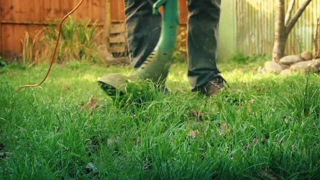 Using A Strimmer On Grass In Sunny Garden