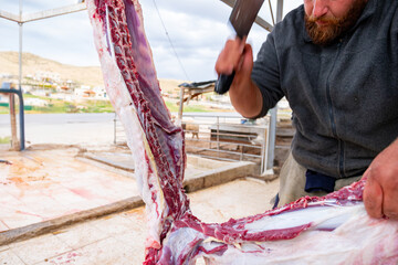 Muslim man butchers trimming a buffalo cow to be distributed to muslims in needs during Eid Al-Adha...