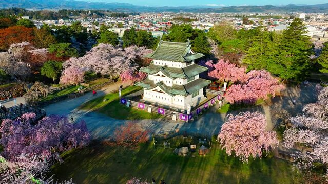 Samurai castle in spring with cherry blossom, drone view of traditional Japanese castle in springtime, aerial view of Hirosaki castle in Japan