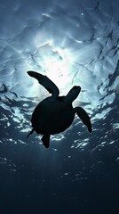 Graceful Sea Turtle, A sea turtle's silhouette swimming gracefully through the ocean
