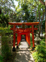 神社の色鮮やかな鳥居