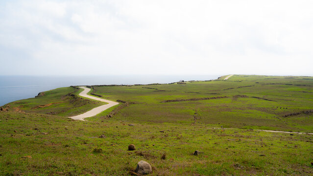 Winding pathway through a grassy meadow