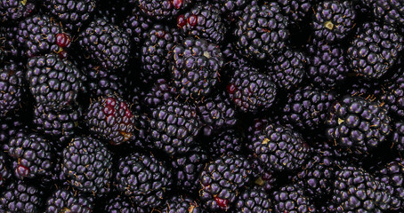 Fresh Ripe Blackberries. Top view of a blackberry close-up.