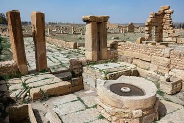 Round-shaped carved rock, Olive oil presses at archaeological site in roman ancient city Sufetula in Sbeitla, Tunisia © JackF