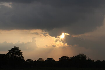 Light colors of Sunset Sunrise Sundown Sky with real sun, natural background without any birds