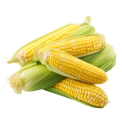 Corn isolated on transparent background