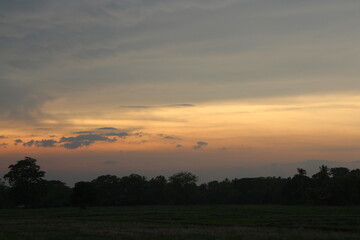 Beautiful Vivid sky painted by the sun leaving bright golden shades. Image of cloud sky on evening time. Evening Vivid sky with clouds.
