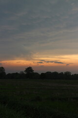 Real amazing panoramic sunrise or sunset sky with gentle colorful clouds.