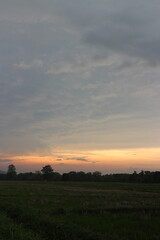 Real amazing panoramic sunrise or sunset sky with gentle colorful clouds.