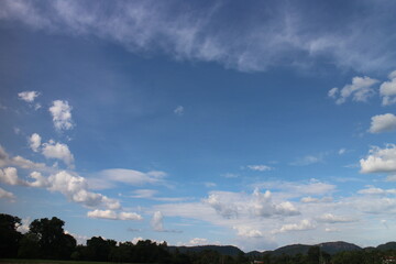 Blue sky and cloud with tree.