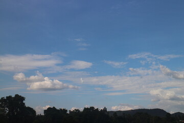 Blue sky and cloud with tree.