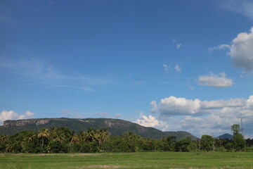 Blue sky and beautiful cloud with meadow trees.