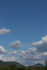 Blue sky and cloud with tree.