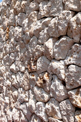 琉球石灰岩の壁