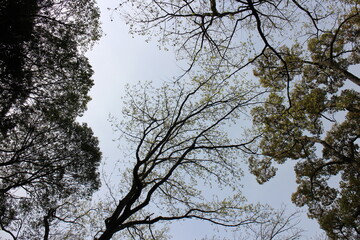 春の風景　山