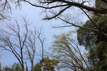 春の風景　山