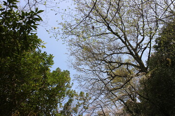 春の風景　山