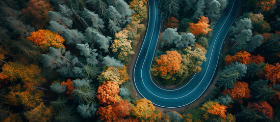 A winding road with trees in the background