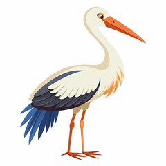 stork vector illustration with white background