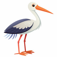 stork vector illustration with white background