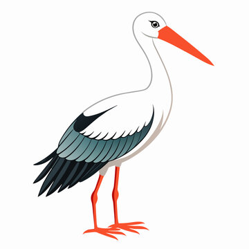 recommend clip art: stork vector illustration with white background