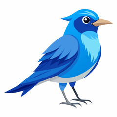 blue bird with speech bubbles, blue birds vector illustration with white background