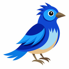 blue bird with speech bubbles, blue birds vector illustration with white background