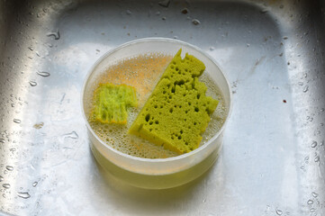The dishwashing sponge, a staple household cleaning tool, is indispensable for tackling tough...