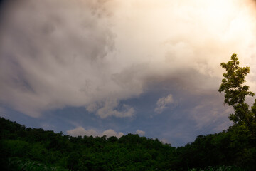 The Tree, Dark Clouds, and Sunset