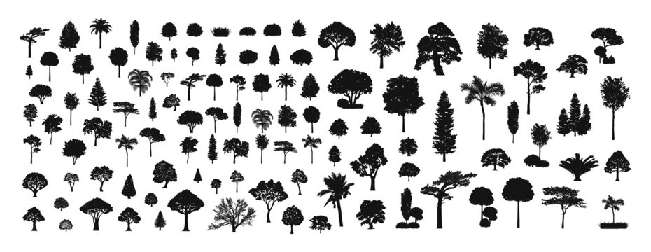 Big set of tree silhouette isolated on white background