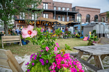 flower with party event in the distance, blurred