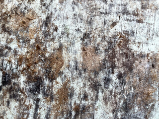 old wood texture background, natural wooden texture background