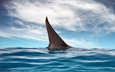 Fototapeta premium Shark fin on ocean surface in cloudy clear sky