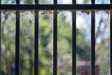 cobwebs spiderwebs webs on metal fence, gothic creepy halloween haunted abandoned building property