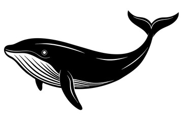 Whale silhouette vector illustration isolated on white background.