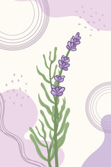 Botanical wall art with lavender sprig and different abstract spots in trendy style. Concept template for greeting cards, banner, social media design, invitations, covers, wall art. 