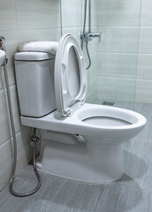 Toilet bowl in modern bathroom interior. New ceramic toilet bowl in modern bathroom