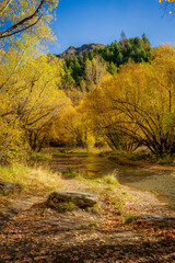 River in autumn forest near Arrowtown, New Zealand