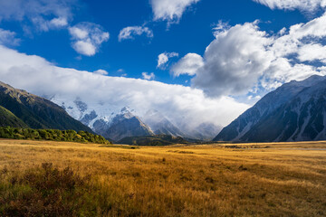 Mount Cook mountains with yellow grass field in a cloudy day